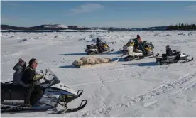  ?? Labrador. Photograph: Darren Calabrese ?? Members of the community travel by snowmobile on to the frozen sea ice to clean and skin a polar bear outside of Rigolet,