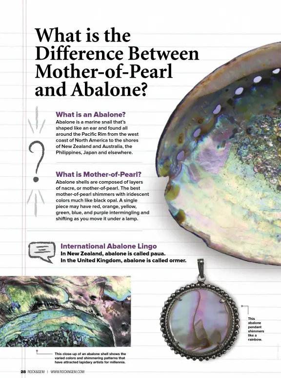 Abalone vs. Mother-of-Pearl: Are they the Same?