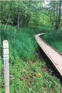  ?? Foto LAS Dolenjska in Bela krajina ?? Učna pot Nerajski lugi