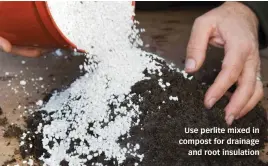  ?? ?? Use perlite mixed in compost for drainage and root insulation