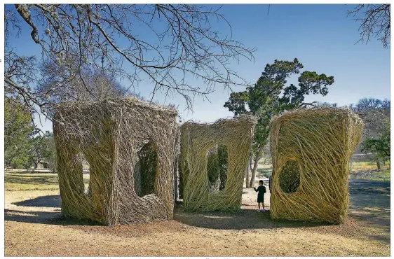  ?? RALPH BARRERA / AMERICAN-STATESMAN PHOTOS ?? The “Stickwork” sculpture by artist Patrick Dougherty is complete in Pease Park and has an official public opening scheduled for Feb. 10.