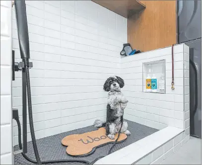  ?? Summerlin ?? Nova Ridge by Pardee Homes in The Cliffs village offers a dog wash option that’s fully customizab­le in select models.