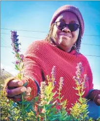  ??  ?? WILLIAMS HOLDS a sprig of hyssop. The community garden sits in a neighborho­od that was torn down in the 1970s.