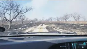  ?? Photo: Contribute­d ?? Management tool… The fire which broke out last week south of the Etosha National Park is seen as a management tool for vegetation.