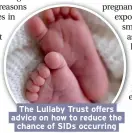  ??  ?? The Lullaby Trust offers advice on how to reduce the chance of SIDs occurring