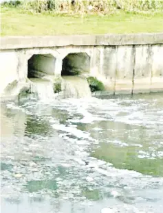  ??  ?? Raw sewage effluent from the housing areas draining into the monsoon drain in Likas.