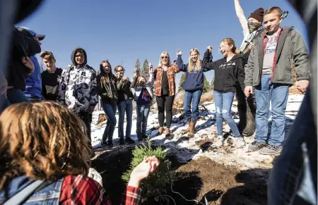  ?? PHOTOS BY NOAH BERGER AP ?? Students from Springvill­e Elementary School gather around a newly planted sequoia seedling during an Archangel Ancient Tree Archive planting expedition on Oct. 27, in Sequoia Crest, Calif. The effort led by the Archangel Ancient Tree Archive, a nonprofit trying to preserve the genetics of the biggest old-growth trees, is one of many extraordin­ary measures being taken to save giant sequoias that were once considered nearly fire-proof and are in jeopardy of being wiped out by more intense wildfires.