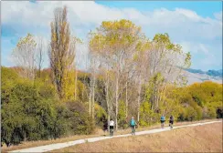  ?? PHOTO / PAUL TAYLOR ?? With Hawke’s Bay’s climate and generally flat land cycling and walking to work as part of everyday life, should be easy.