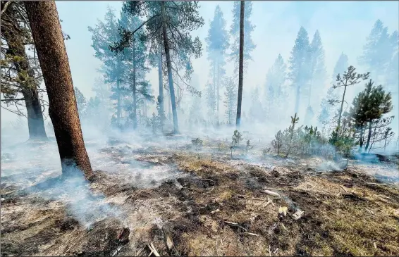  ?? (AP/Bootleg Fire Incident Command) ?? The Bootleg Fire is seen smoldering July 17 in southern Oregon. The destructiv­e Bootleg Fire, one of the largest in modern Oregon history, has already burned more than 476 square miles, an area about the size of Los Angeles.