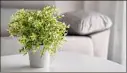  ?? Getty Images / Getty Images ?? Artificial plants can beautify the same spaces where you would consider putting live plants.