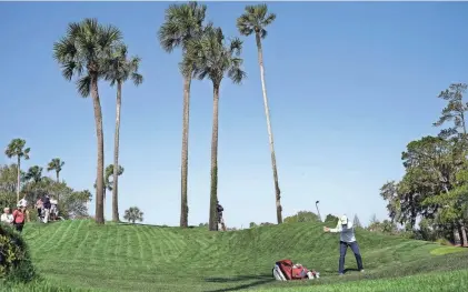  ?? CHARLIE NEIBERGALL/AP ?? Scottie Scheffler hits towards the fifth green during a practice round for The Players Championsh­ip golf tournament on Wednesday in Ponte Vedra Beach, Fla.