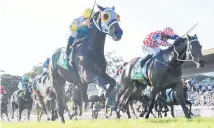  ?? Photo / Bradley Photos ?? Gospodin (right) is New Zealand’s top chance of a win at a waterlogge­d Doomben today in the A$250,000 BRC Sprint.