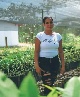  ?? / Gustavo Torrijos. ?? Lindelia Álvarez tiene a cargo el vivero en el ETCR La Carmelita