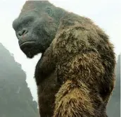 ??  ?? King Kong revient au grand écran.