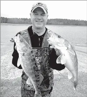  ?? Photos submitted by Chris Larson ?? Chris Larson of Roland (above) caught these walleyes during a recent trip to the upper portion of Lake Ouachita with Shane McClary of Maumelle (below), who caught a big striped bass.