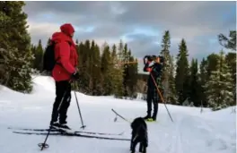  ?? ?? ⮉ – Jålete dress, men svært elegant skiløper, sier Liv Foss, som har med seg dvergpudde­len Lotta på tur.