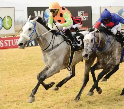  ?? Picture: JC Photograph­ics ?? THE SECRET’S OUT. Secret Captain, (left), despite carrying a hefty 60kg, could take the honours today in Race 5 at Turffontei­n, a MR87 over 2000m. He could be a solid PA banker.