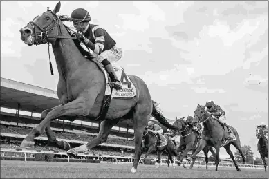  ?? BARBARA D. LIVINGSTON ?? Oscar Performanc­e takes on older horses for the first time in the Joe Hirsch Turf Classic.