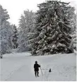  ??  ?? Mann mit Hund auf dem Winterwand­erweg „Schneewalz­er“.