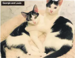  ?? ?? Georgie and Louis