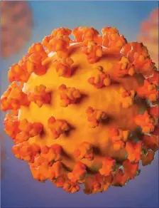  ??  ?? A corona virus is typically ball-shaped with often elaborate spikelike projection­s.