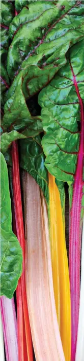  ?? ?? FLYING COLOURS: Chard can really liven up your dishes