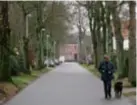  ?? FOTO JAN AUMAN ?? De Albert Dineurlaan is een mooie straat, onder meer dankzij de hoge Noorse esdoorns die er staan.