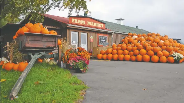  ?? [WHITNEY NEILSON / THE OBSERVER] ?? With Halloween around the corner, Floralane Farm Market has plenty of pumpkins for both decorating and eating. They buy them from a grower in West Montrose.