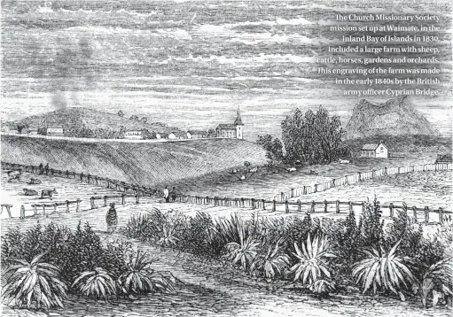  ??  ?? The Church Missionary Society mission set up at Waimate, in the inland Bay of Islands in 1830, included a large farm with sheep, cattle, horses, gardens and orchards. This engraving of the farm was made in the early 1840s by the British army officer...