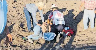  ?? FOTO CORTESÍA ?? Trágica volcadura sufrió una familia huanimaren­se.