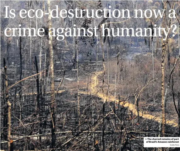  ?? Eraldo Peres ?? > The charred remains of part of Brazil’s Amazon rainforest