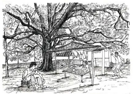  ??  ?? SKETCH SHOWING SYMBIOTIC RELATIONSH­IP BETWEEN NATURE AND MANMADE COPY
During brainstorm­ing on site, a small low lying shelter under huge mango tree, where farmers can take rest in between the farming activities have been come across. It was not merely a space within space but also an example of symbiotic relationsh­ip
between nature and manmade. Quality of this space inspired the gently embraced low lying form of six cottages.