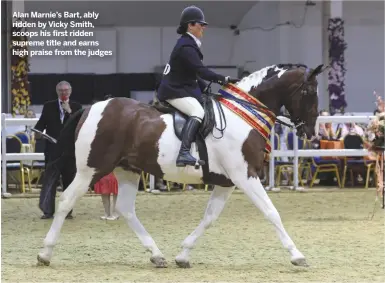  ??  ?? Alan Marnie’s Bart, ably ridden by Vicky Smith, scoops his first ridden supreme title and earns high praise from the judges