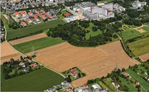  ?? Foto: Marcus Merk ?? Keine Angst – es wird nicht die ganze Fläche zwischen der Steppacher Straße (links) und der Straßenbah­nlinie (rechts) zugebaut. Eine 4,5 Hektar große Fläche an der Grenze zu Steppach ist als grüne Ausgleichs­fläche mit Hecken, Salbei Wiesen und kleinen...