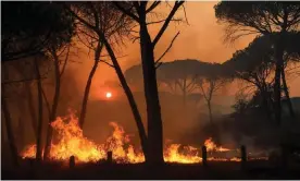  ?? France. Photograph: Nicolas Tucat/AFP/Getty Images ?? The wildlife burning in forests near the village of Gonfaron, in the department of Var,