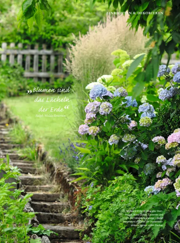  ??  ?? ROMANTISCH Eine alte Steintrepp­e, hohe Gräser, Lavendel und tief hängende Zweige – derart eingerahmt entfaltet der Hortensien­strauch seinen vollen Zauber.