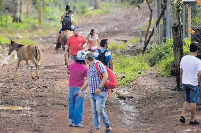  ?? RAFAEL PACHECO ?? 1k La Trocha de Los Chiles, pueblo que le dio nombre a la trocha fronteriza, se ha vuelto un hervidero de gente con el paso de nicaragüen­ses que huyen de la crisis. 2k Rosibel Rojas llegó con varios de sus cinco hijos; venía extenuada tras dos días de caminata. 3k Algunos de los migrantes tienen refugio seguro donde familiares; otros, en cambio, no tienen idea de adónde ir. 4k El paso de los migrantes favorece la deprimida economía de esta comunidad; los gallos de carne son muy buscados por los viajeros y se venden a ¢1.000.