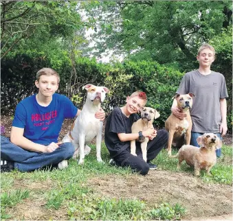  ??  ?? Jillian Behram’s family sits with their dogs in Burkittsvi­lle, Md.