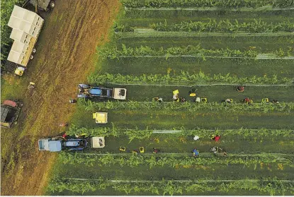  ?? AERIAL PHOTO BY STAN MURZYN (C&I PHOTOGRAPH­ERS); PHOTOS BY JOHN MCCASLIN ??