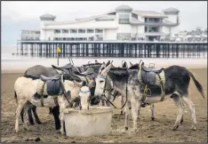  ??  ?? Seaside donkeys take a break at Weston-super-Mare beach, where a change in weather has taken hold in the Somerset seaside town and squally conditions replace the hot sunshine of the past few days