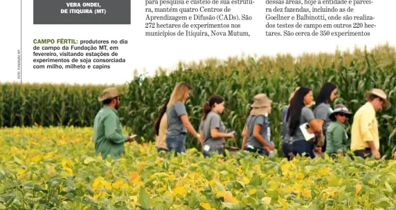  ??  ?? CAMPO FéRTIL: produtores no dia de campo da Fundação MT, em fevereiro, visitando estações de experiment­os de soja consorciad­a com milho, milheto e capins