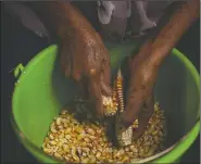  ??  ?? Catalina Vazquez shells corn in San Jeronimo Xayacatlan, a town in Mexico from which nearly a third of residents have emigrated to New York. The 83-year-old grandmothe­r raised her five children as a single mother after the father of her children abandoned them. Three of her children live in the U.S. while two are home.