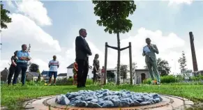  ??  ?? The Anne Frank Freedom Tree in a park specially designed for the tree in Aalten, the Netherland­s. — AFP