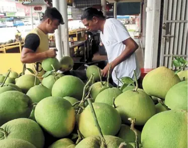  ?? ?? Juicy delight: Pomeloes are a major attraction in Tambun, which is a 15-minute drive from the Ipoh city centre. — ronnie CHIN/
The star