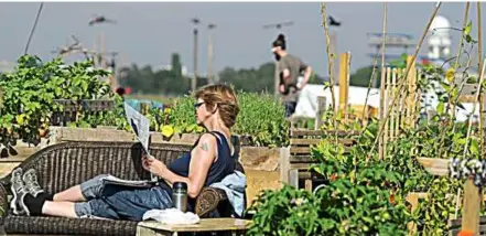  ??  ?? Community gardening nurtures not just derelict open spaces, but also human connection­s.