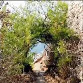  ?? (Photo Jean-Sébastien Gino-Antomarchi) ?? Le « sentier de Tire-Poil », au Cap d’Antibes, occupe une place particuliè­re dans ce nouveau roman.