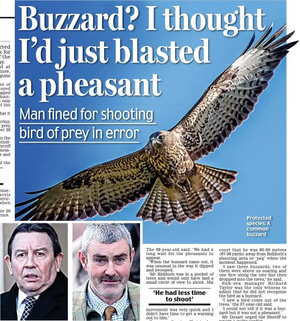  ??  ?? Guilty verdict: Keith Riddoch Gamekeeper: Alistair Lyon Protected species: A common buzzard