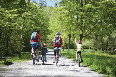  ?? Foto: Imago/Westend61 ?? Gemeinsame Bewegung ist nicht nur für das Familienge­fühl wichtig.