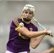  ??  ?? Wexford senior hurler Rory O’Connor is raising funds for a trip to South Africa as a volunteer with the Mellon Educate building blitz.