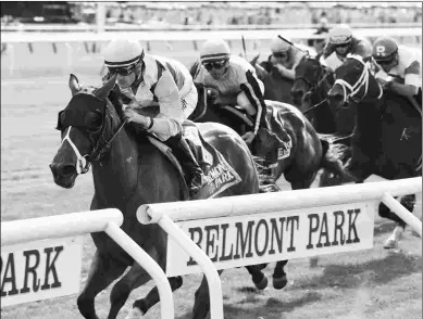  ?? BARBARA D. LIVINGSTON ?? Hawksmoor fell ill following her victory in the Grade 2 New York Stakes on June 9 at Belmont and seeks to rebound off a dull effort last out in Arlington’s Grade 1 Beverly D.